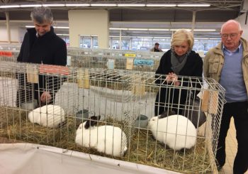 Salon avicole à Paray