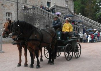 Défilé d’attelages au château de Chaumont