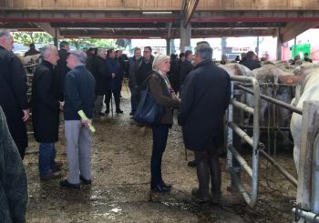 Marché de Saint-Christophe-en-Brionnais