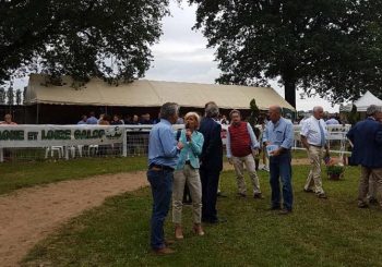 Chaser Day à Paray-le-Monial