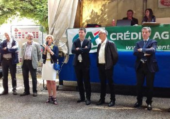 35e concours de bovins de race charolaise