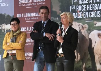 Concours du Herd Book Charolais à Gueugnon